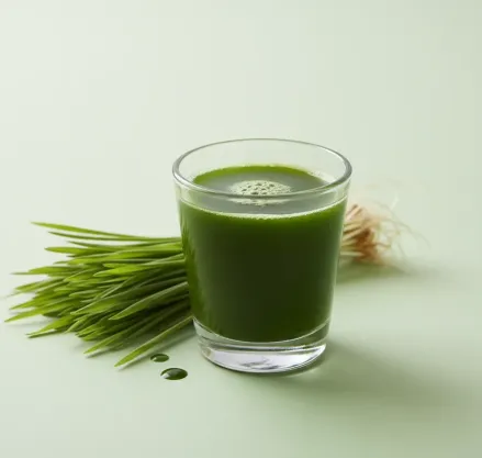 Wheatgrass Shot